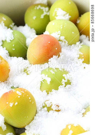 梅干し作り　作業工程　塩漬け　クローズアップ 85668698