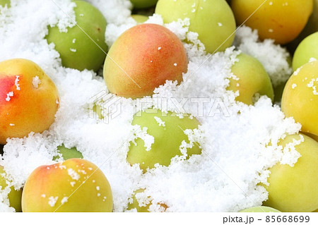 梅干し作り　作業工程　塩漬け　クローズアップ 85668699