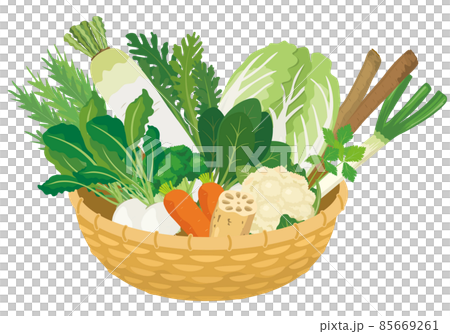 カゴ盛りの野菜_冬の野菜 85669261