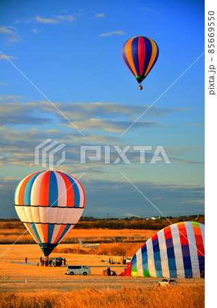 熱気球 (渡良瀬遊水地) 熱気球 (渡良瀬遊水地) 85669550