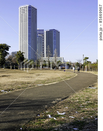 冬の二子玉川公園（縦） 85669967