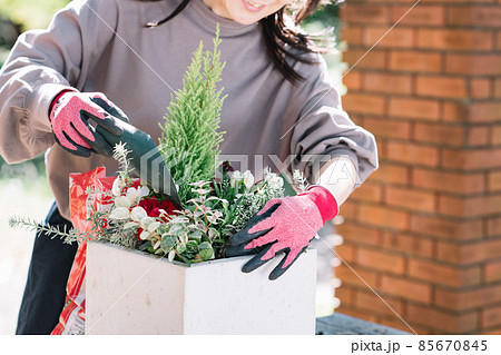 寄せ植えをする女性の手元 85670845
