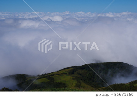 部子山 能楽の里牧場跡からの池田町上空の雲海の眺め 福井県今立郡池田町 部子山 能楽の里牧場跡からの池田町上空の雲海の眺め 福井県今立郡池田町 85671260
