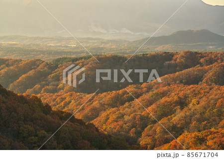 《岡山県》秋の朝、鬼女台の風景【11月】 《岡山県》秋の朝、鬼女台の風景【11月】 85671704