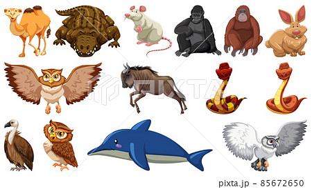 Set of different wild animals cartoon characters Set of different wild animals cartoon characters 85672650