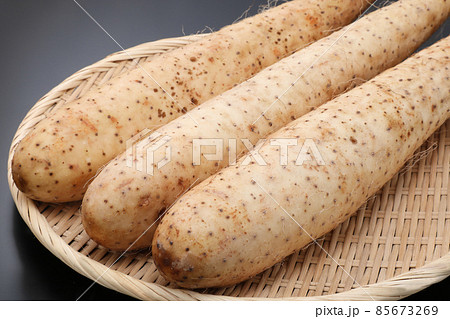 長芋 85673269