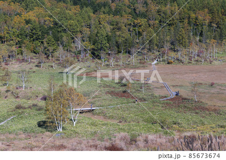 志賀高原の秋 紅葉する田ノ原湿原 志賀高原の秋 紅葉する田ノ原湿原 85673674