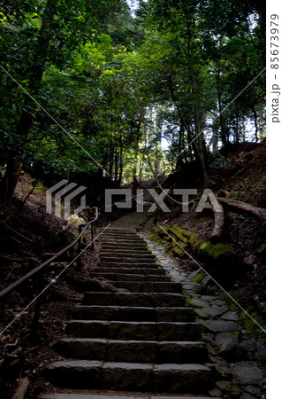 鞍馬寺参道 85673979