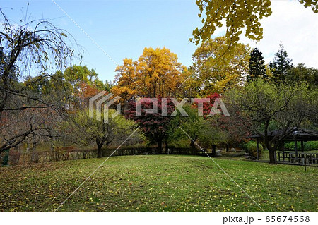 秋の高松の池 85674568