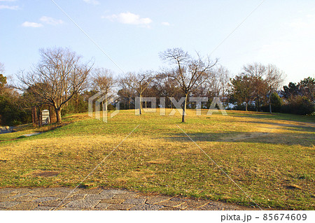 矢倉緑地・芝生自由広場/大阪府大阪市西淀川区西島2丁目 矢倉緑地・芝生自由広場/大阪府大阪市西淀川区西島2丁目 85674609