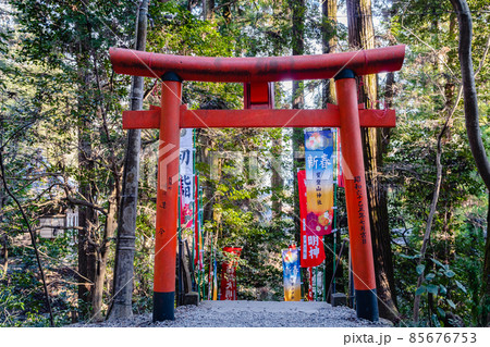 寳登山神社　宝玉稲荷神社への参道 85676753