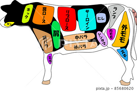 牛の部位のイラスト素材 牛の部位のイラスト素材 85680620