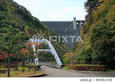 秋のあいかわ公園の景観 秋のあいかわ公園の景観 85681338