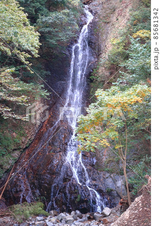 秋のあいかわ公園の景観 85681342