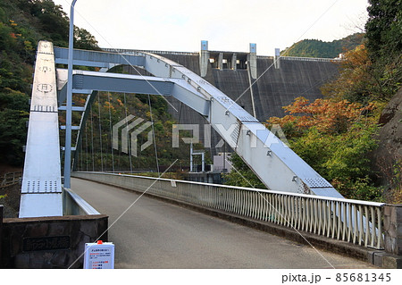 秋のあいかわ公園の景観 秋のあいかわ公園の景観 85681345