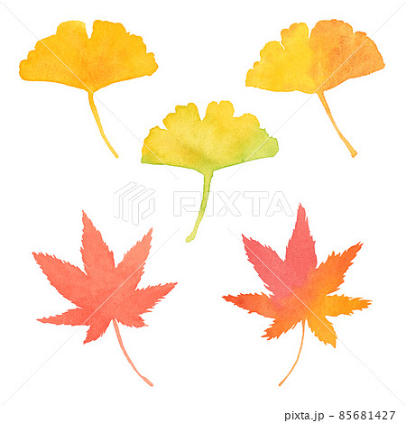 紅葉 もみじ いちょう 銀杏 背景 秋 かえで 和 手書き 水彩 落ち葉の 