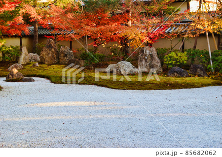 京都 夕日に映える高台寺の紅葉 京都 夕日に映える高台寺の紅葉 85682062