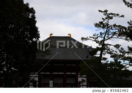 東大寺 東大寺 85682462