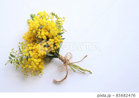 ミモザブーケ ミモザブーケ 85682476