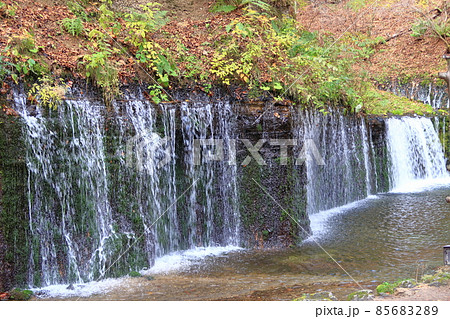 秋の白糸の滝の景観 秋の白糸の滝の景観 85683289