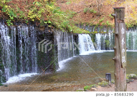 秋の白糸の滝の景観 秋の白糸の滝の景観 85683290