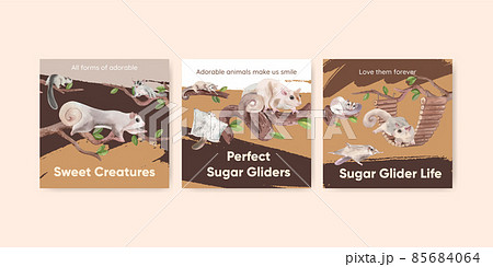 Banner template with adorble sugar gliders concept,watercolor style Banner template with adorble sugar gliders concept,watercolor style 85684064