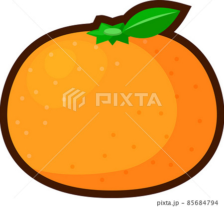 シンプルな蜜柑のイラスト 85684794