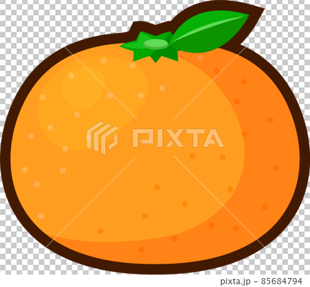シンプルな蜜柑のイラスト 85684794