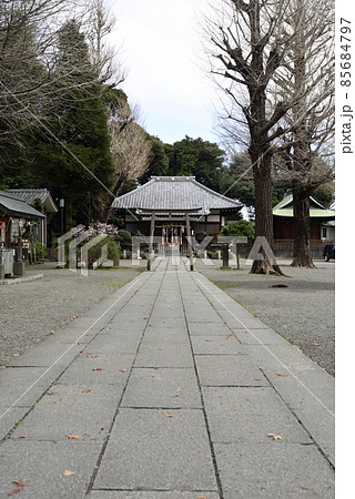 平塚神社 85684797