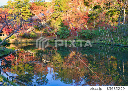 京都 高台寺 水鏡が美しい紅葉の臥龍池 85685299