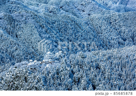 雪の郡上八幡城 85685878