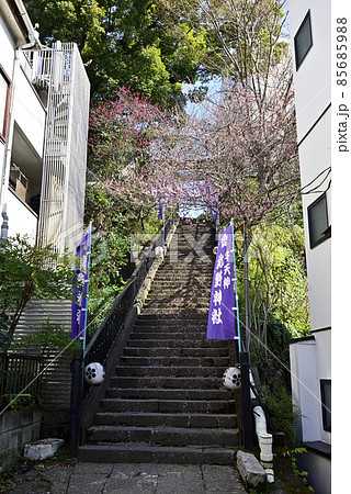 北野神社(牛天神)参道 北野神社(牛天神)参道 85685988