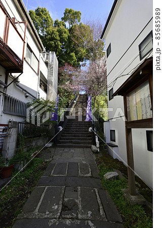北野神社(牛天神)参道 北野神社(牛天神)参道 85685989