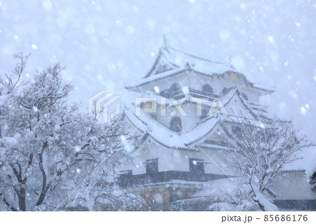 国宝彦根城　雪景色 85686176