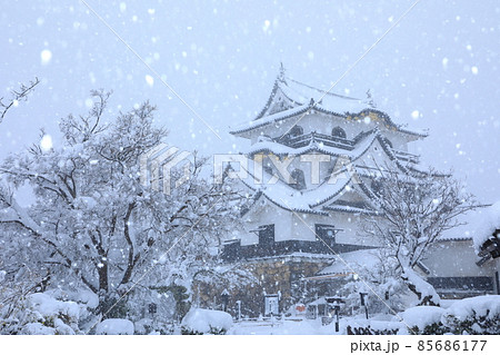 国宝彦根城 雪景色 国宝彦根城 雪景色 85686177
