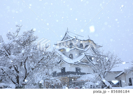 国宝彦根城 雪景色 国宝彦根城 雪景色 85686184