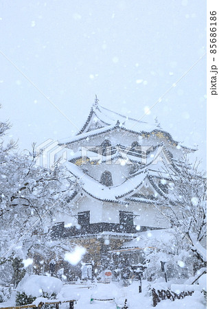 国宝彦根城 雪景色 国宝彦根城 雪景色 85686186