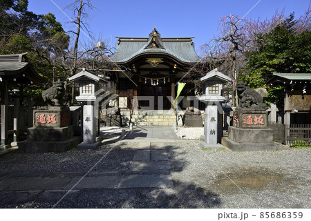 北野神社(牛天神)本社殿 北野神社(牛天神)本社殿 85686359