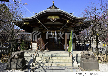 北野神社(牛天神)本社殿 北野神社(牛天神)本社殿 85686366