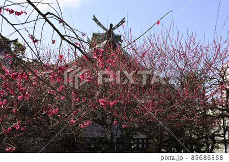 北野神社(牛天神)本社殿 北野神社(牛天神)本社殿 85686368