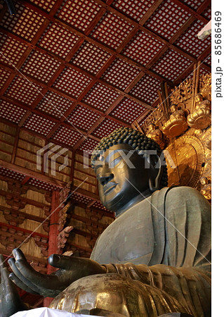奈良の大仏 奈良の大仏 85686469