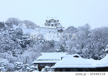 国宝彦根城 名勝玄宮園 雪景色 国宝彦根城 名勝玄宮園 雪景色 85686538