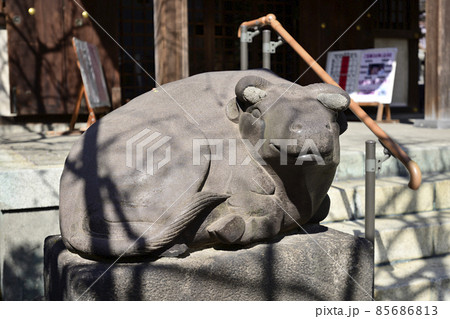 北野神社(牛天神)神牛(狛牛) 北野神社(牛天神)神牛(狛牛) 85686813