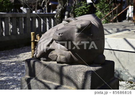 北野神社（牛天神）神牛（狛牛） 85686816