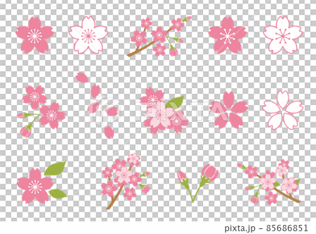 桜　アイコン　イラスト　ベクター 85686851