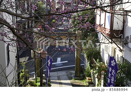 北野神社(牛天神)参道 北野神社(牛天神)参道 85686994