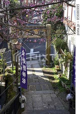 北野神社(牛天神)参道 北野神社(牛天神)参道 85686995