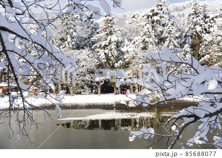 雪の積もった桜の枝の間から見る元旦の治田神社 雪の積もった桜の枝の間から見る元旦の治田神社 85688077