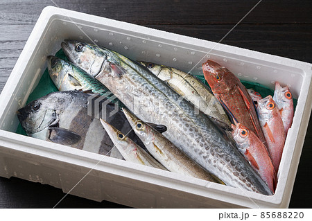 発泡スチロールに詰めた鮮魚 発泡スチロールに詰めた鮮魚 85688220