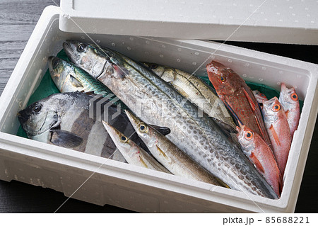 発泡スチロールに詰めた鮮魚 85688221
